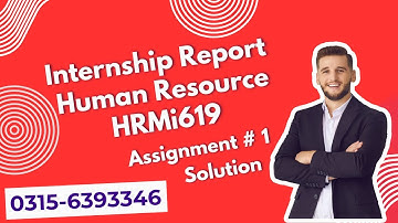 HRMi619 Assignment 1 solution 2025 #vu #internship #hrmi619