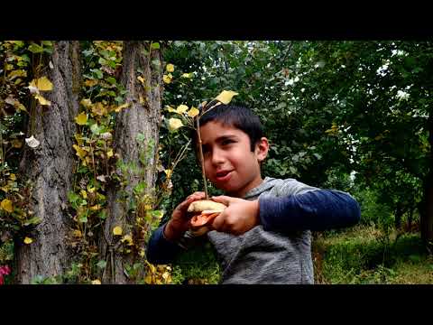 Video: Burgerlər Kimlərdir