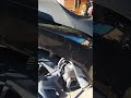 Утренний запуск двигателя Honda SH 125i