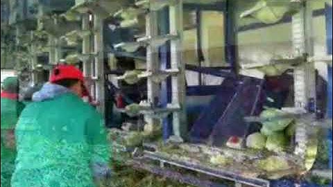 VePack P rig version (1)