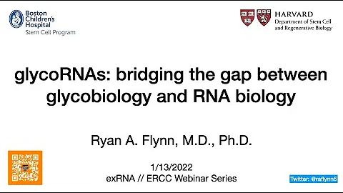 ERCC Webinar: Ryan Flynn - Small RNAs modified wit...