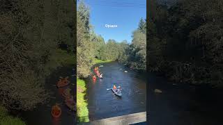 Лето продолжается, река Оредеж 07.09.25 #поход #равнины #lake #природа #оредеж #сплав