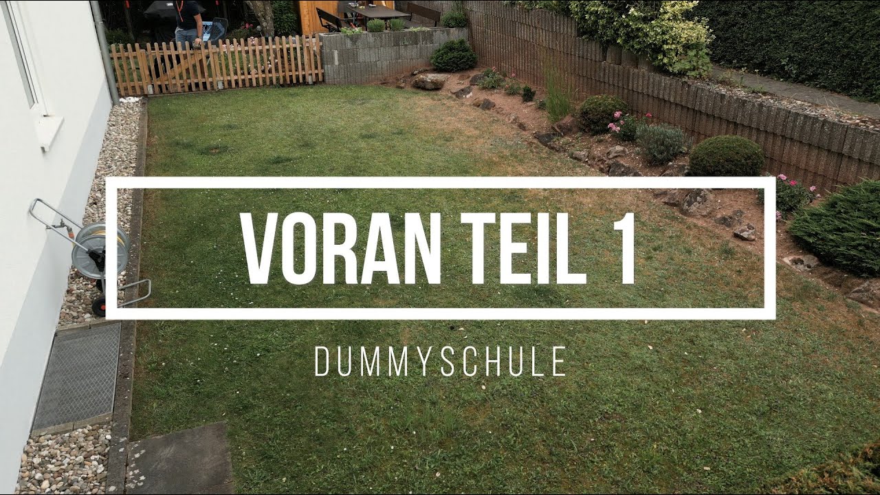 Hundeschule: VORAN-Kommando aufbauen Teil 1