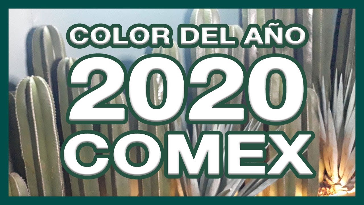 Logra el balance perfecto de color en tu proyecto seleccionando 3 tonos di…  | Colores de interiores, Colores de casas interiores, Paletas de colores  para dormitorio