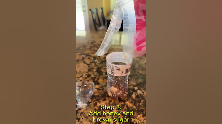 DIY Fly trap. Easy!
