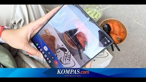 Hitung Kalori dengan Mudah: Menggunakan AI Gemini Live untuk Diet Pemula