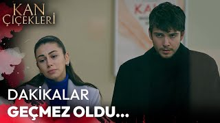 Çaresizlik - Kan Çiçekleri 281. Bölüm