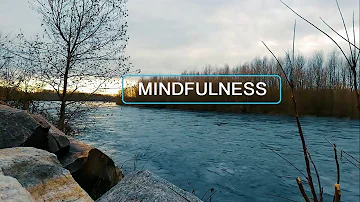 10 Minutes Meditation To Clear Mind, Focus, Clear Negative, Mindfulness & Heartfulness.