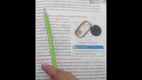 science class 8 chapter 3 biotechnology page 35 to 36(2)