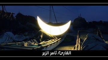 القارئ / ثامر الزير