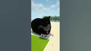 اغنية قطة في ماينكرافت Minecraft ماينكرافت Cat Comedyvideo Funny Catmeme Catvideos 