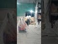 Ganpati bappa status ll ganpati bappa morya #ganpati #bappa #morya #ganesh #shorts #viral #trending