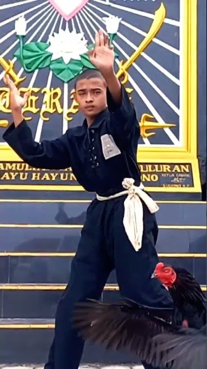 rasa syukur (bukaan) sesudah Tes Jago #psht