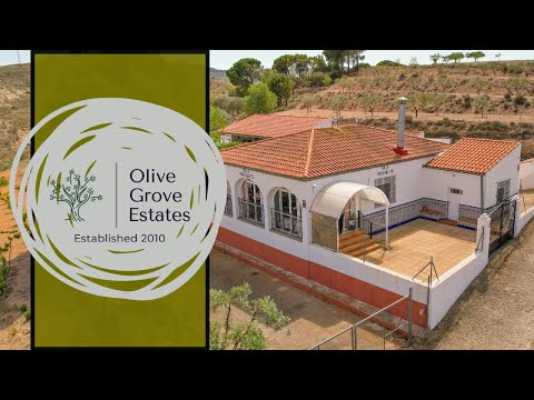 Olive Grove Estates - Villa - Montealegre del Castillo