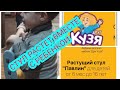 Стул ПАВЛИН от ДРУГА КУЗИ ☺