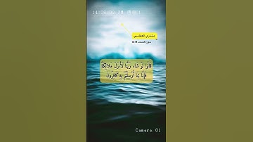 سورة فصلت الاية 14-15