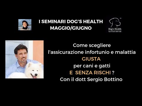 Video: 10 consigli su come lavare il cane