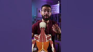 مفتاح علاج الكتف مش في الكتف 