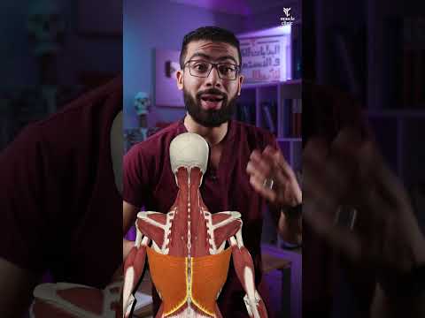 مفتاح علاج الكتف مش في الكتف