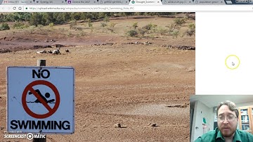 Population, Limiting Factor, Carrying Capacity