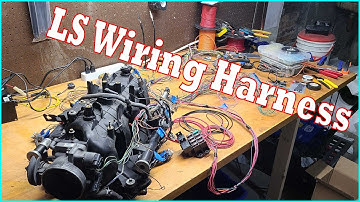 LS Stand Alone Harness!