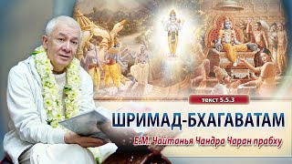 видео: 11/09/2025 Гуру-крипа, день2.Шримад-Бхагаватам 5.5.3. Е.М.Чайтанья Чандра Чаран прабху. Екатеринбург картинка: 11/09/2025 Гуру-крипа, день2.Шримад-Бхагаватам 5.5.3. Е.М.Чайтанья Чандра Чаран прабху. Екатеринбург