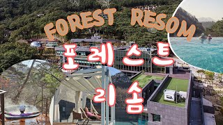 포레스트리솜 완벽총정리/포레스트클럽(펜션&amp;스파)/레스트리(호텔)/산속스파(인피니티풀),노천탕(스톤스파…