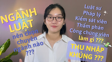 NGÀNH LUẬT | Học Luật không chỉ làm Luật Sư | Nên theo chuyên ngành luật nào ?