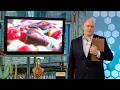 1 Hour of Dara Ó Briain&#39;s Science Club | Compilation | BBC Earth Lab