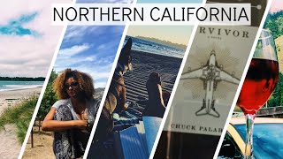 Northern California Travel Vlog | California Travel Vlog | Travel | Summer | Travel Vlog Napa Valley