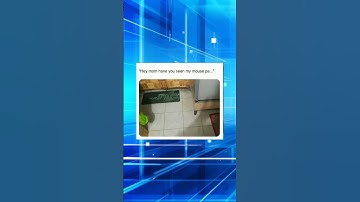 Programming memes, only humor #jokes #fy #fyp #soft #software #code #it #technology #git