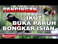 #1🔴 TERAPI KONIN AGAR CEPAT GACOR BUKA PARUH MERANGSANG KOLIBRI NINJA IKUT BONGKAR ISIAN !!