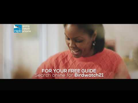 ვიდეო: როდის არის birdwatch 2021?