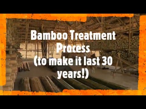 Bamboo Treatment Process for Building Construction