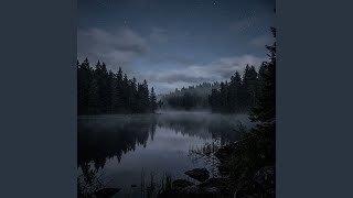 Silver Night - Delta Drift 3.4 Hz (Full Night Rest)