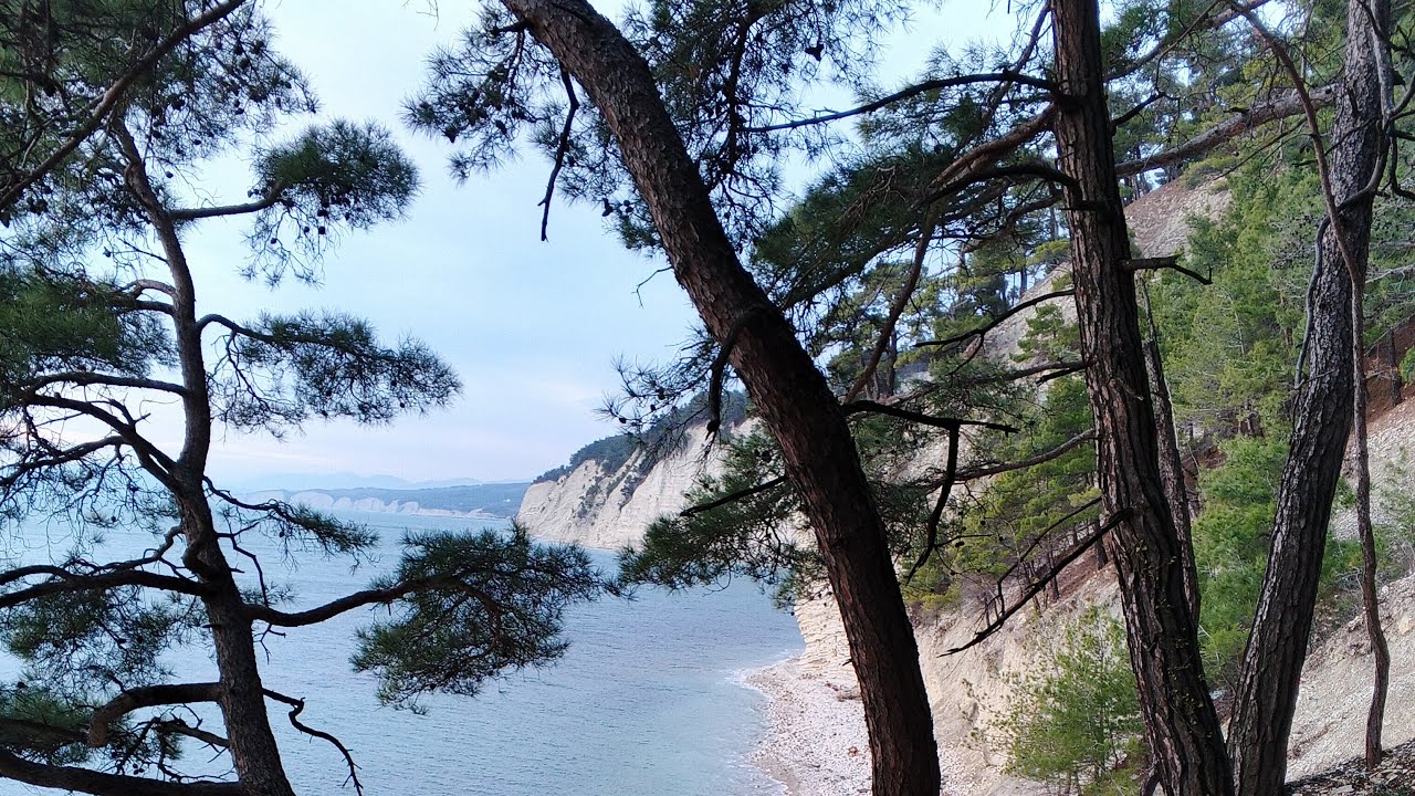 1.03. Настрой дня. Гусли.Эрика.