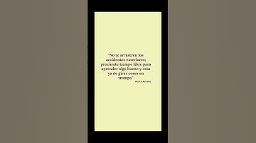 🧘 3 Stoic Quotes for Inner Peace | Wisdom of Marcus Aurelius | Ambient Reflections