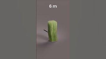 Blades of grass push: 3D Simulation Hit follow to stay updated! #b3d #physicssimulation #3danimation