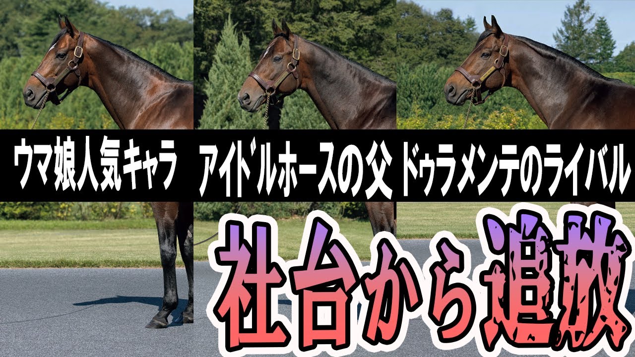 「社台スタリオンＳ種牡馬カタログ 2002年版 ウマ娘登場名馬多数掲載」 イクイノックスは…」社台SSの担当者が語る種牡馬の“性格”