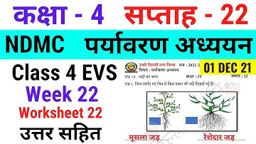 NDMC Class 4 EVS Week 22 Worksheet 22 (1/11/21) || पर्यावरण अध्ययन सप्ताह 22 Class 4th जड़ों का जाल