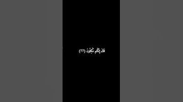 سورة الزخرف 77 - 78 - محمد اللحيدان .