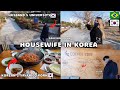 Housewife in Korea: Jun&#39;s University, Pet at Emergency Vet, Cooking, Relaxing, Preparing to Travel