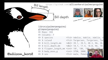 Parlons de {dplyr} avec Romain Francois