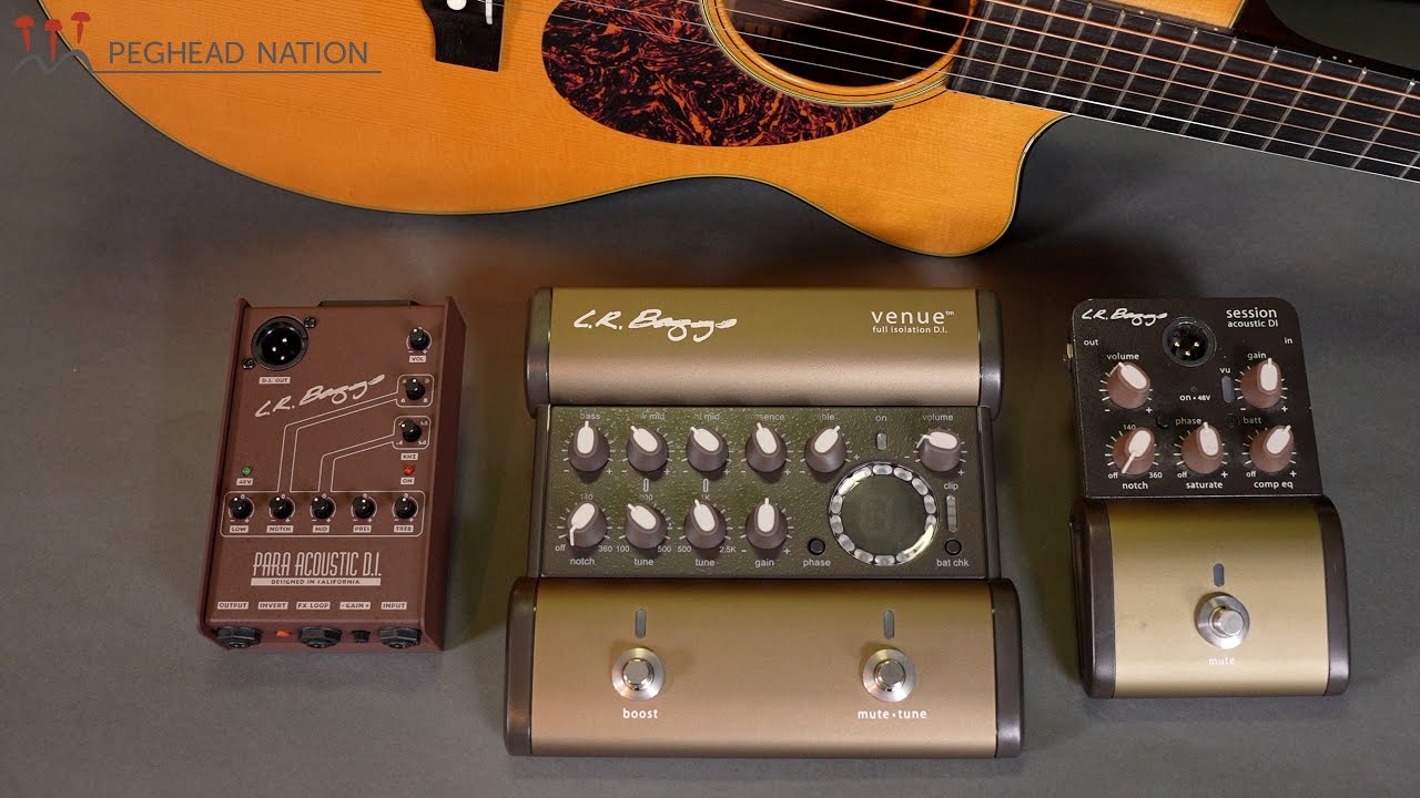 L.R. Baggs Para DI, Venue DI, and Session DI | Peghead Nation