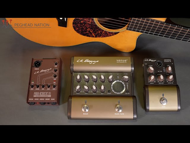 L.R. Baggs Para DI, Venue DI, and Session DI | Peghead Nation