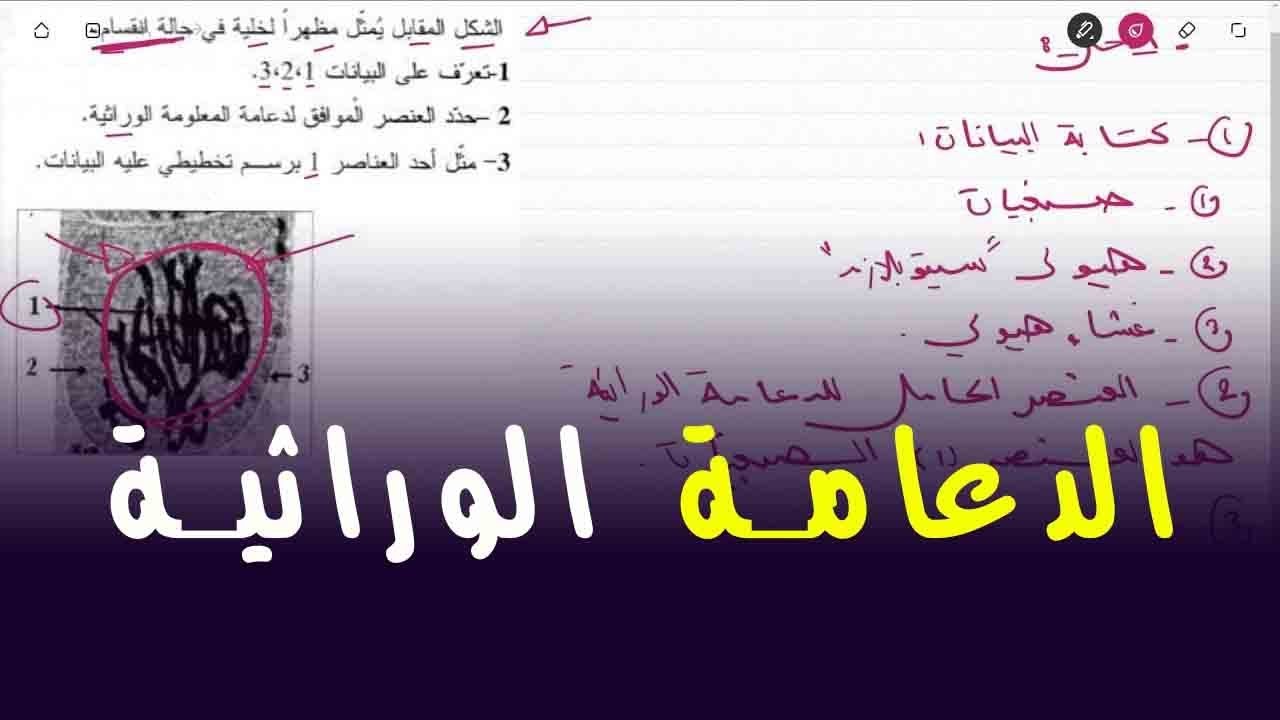 علوم طبيعية الرابعة متوسط تمرين على شكل و دور الصبغيات في الخلية