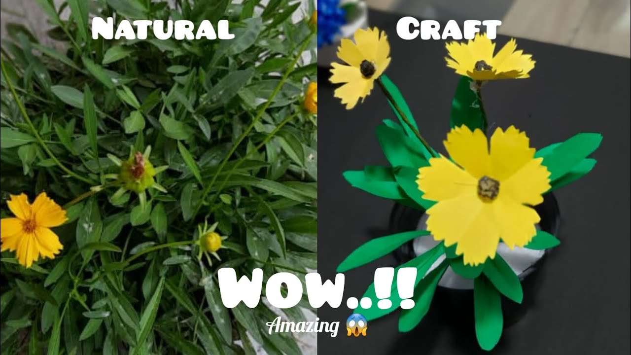 AMAZING FLOWER CRAFT WORK AT HOME shezuus world YouTube