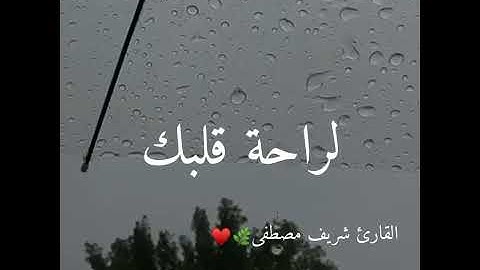 القارئ شريف مصطفى || حالات واتس قرآن