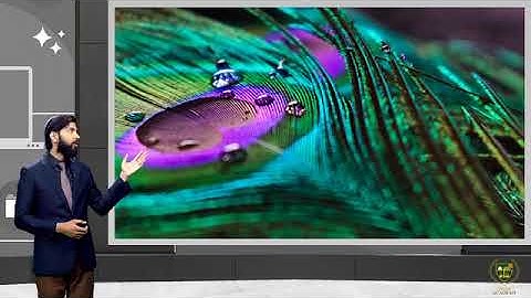 Output Devices | Types of Output and output devices | Soft & Hard Copy | Computer science  11th