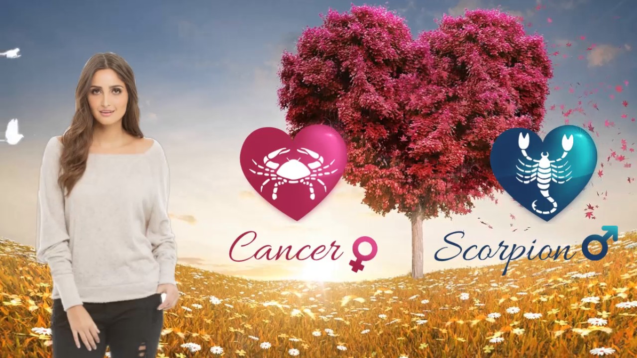 Compatibilités amoureuses entre une femme cancer et un homme scorpion YouTube